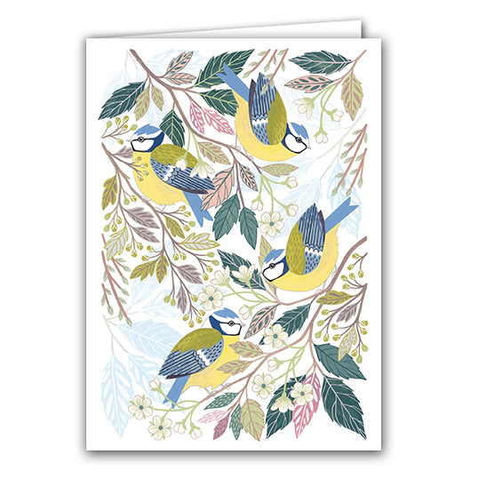 Blue Tits by Claire Tuxworth