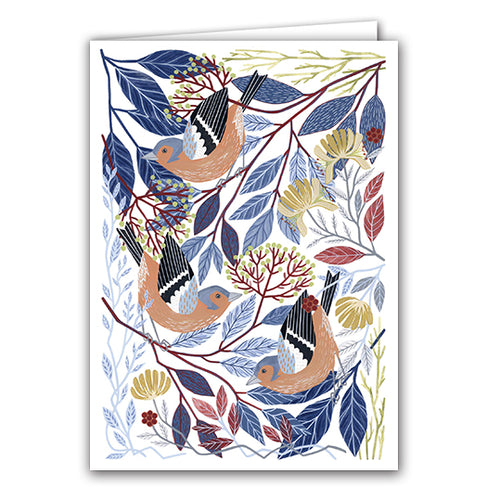 Chaffinches  by Claire Tuxworth