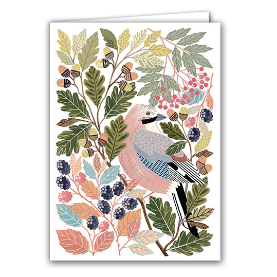Jay by Claire Tuxworth