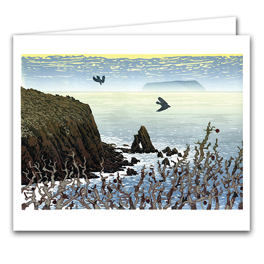 Hawthorn by Ian Phillips