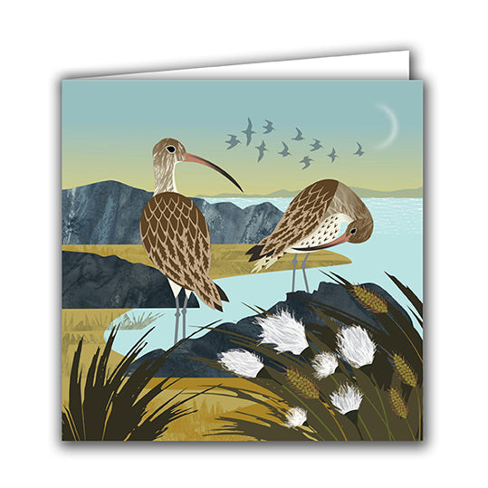 Curlews and Cotton Grass by Rachel Hudson