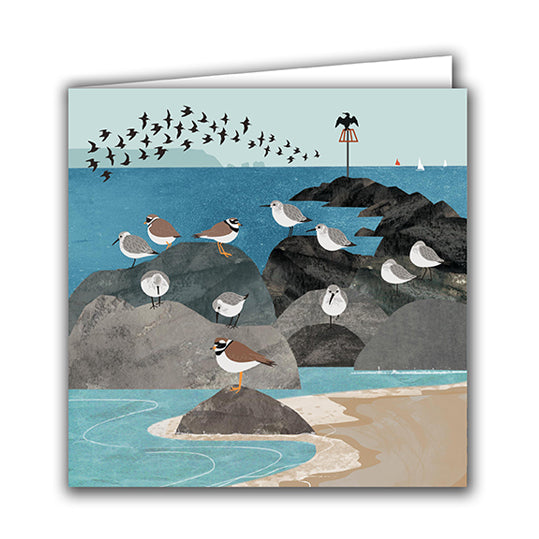 Dunlin and Ringed Plover by Rachel Hudson