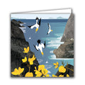 Diving Gannets by Rachel Hudson