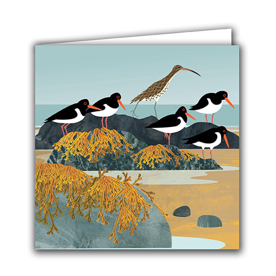 Curlew and Oystercatchers by Rachel Hudson