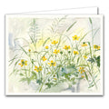 June Buttercups and Micro Moths by Rachel Porter