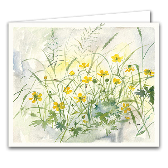 June Buttercups and Micro Moths by Rachel Porter