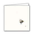Bumblebee by Rachel Porter