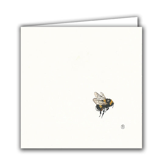 Bumblebee by Rachel Porter