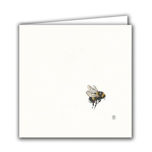 Bumblebee by Rachel Porter
