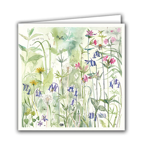 April Woods and Insects by Rachel Porter