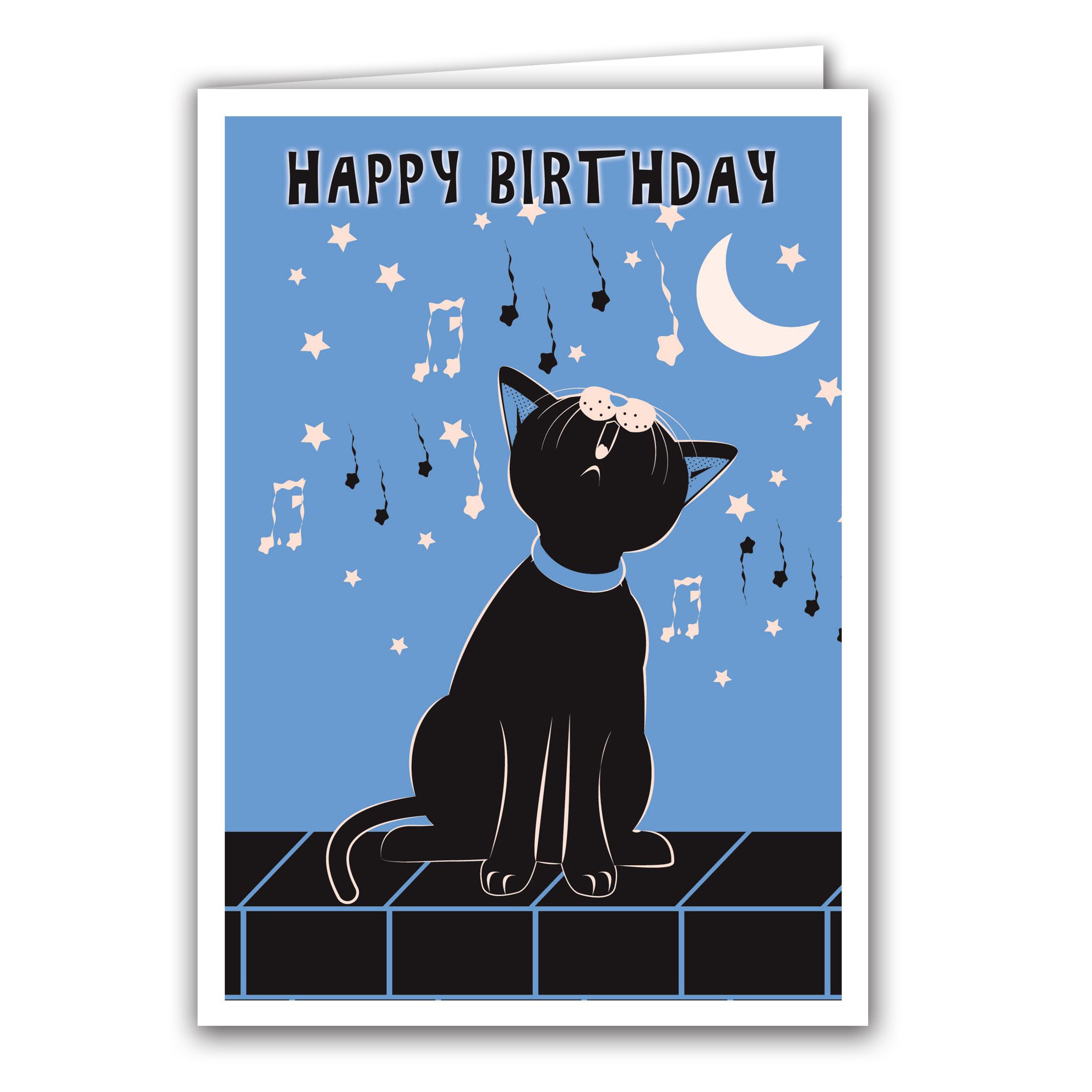 Happy Birthday Cat Song by Anne Cakebread