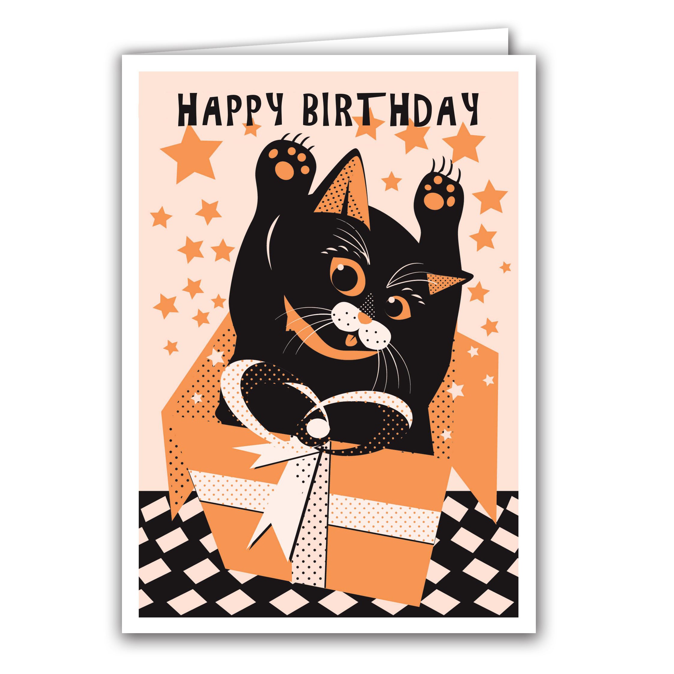Happy Birthday Cat Surprise by Anne Cakebread