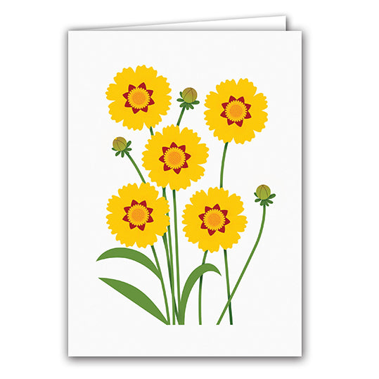 Coreopsis by Sarah Abbott