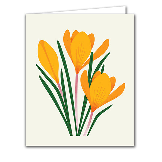 Crocus by Sarah Abbott