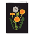 Dandelion by Sarah Abbott