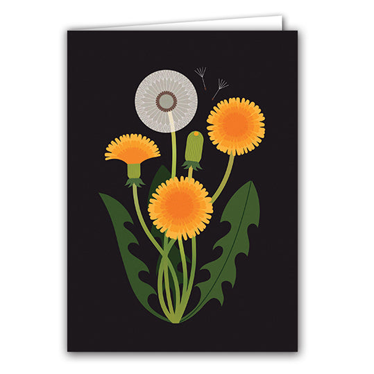 Dandelion by Sarah Abbott