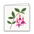 Fuchsia by Sarah Abbott