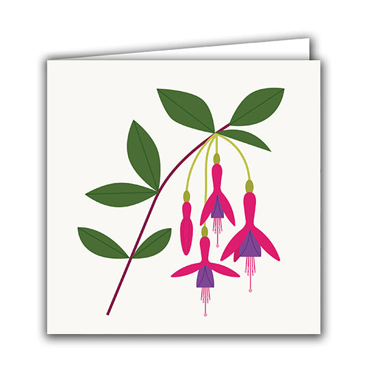 Fuchsia by Sarah Abbott