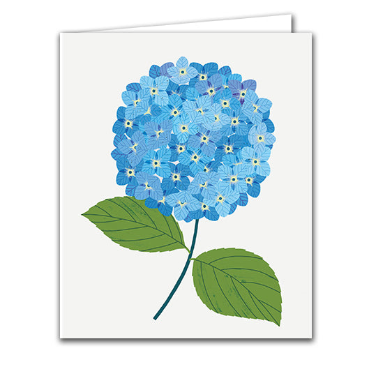 Hydrangea by Sarah Abbott