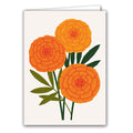 Marigold by Sarah Abbott