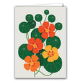 Nasturtium by Sarah Abbott