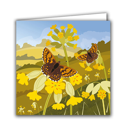 Cowslips and Duke of Burgundy Butterflies by Rachel Hudson