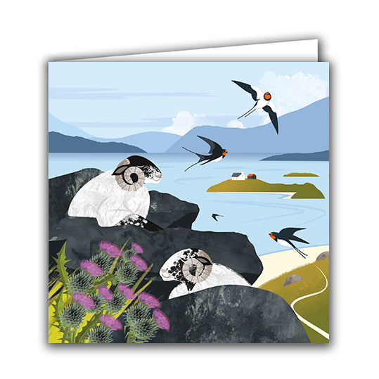 Sleeping Sheep and Swallows by Rachel Hudson
