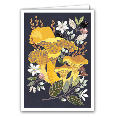 Chanterelle by Claire Tuxworth
