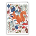 Red Squirrel by Claire Tuxworth