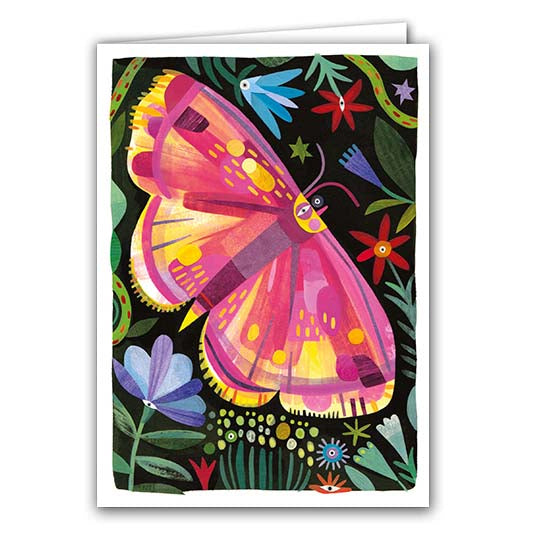 Purple Bordered Gold Moth by Nikki Pontin