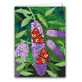 Peacock Butterflies on Buddleia by Lydia Hodge