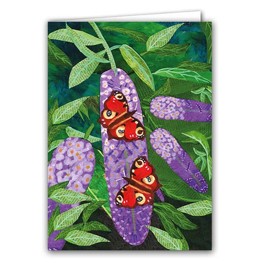 Peacock Butterflies on Buddleia by Lydia Hodge