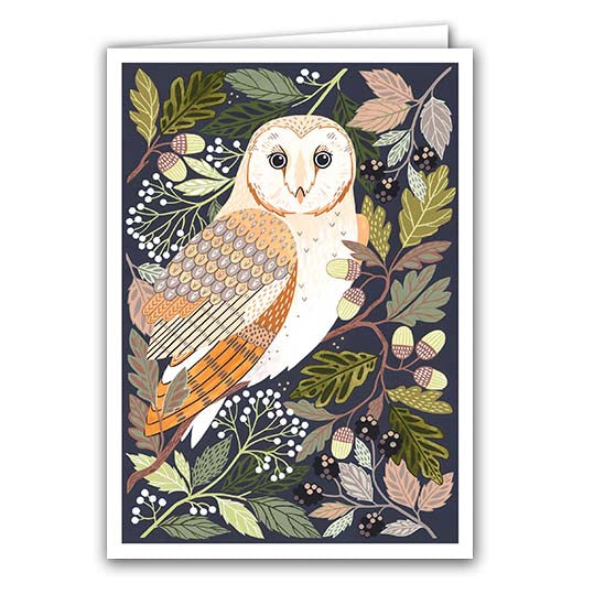 Barn Owl by Claire Tuxworth