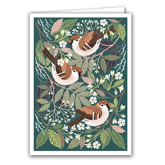 Tree Sparrows by Claire Tuxworth