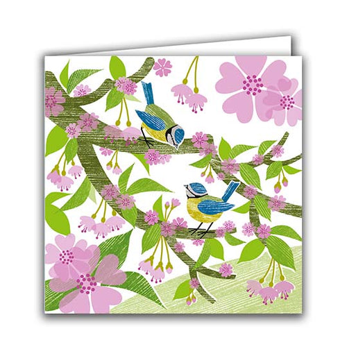 Blue Tits and Blossom by Liane Payne
