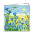 Cornflowers by Liane Payne