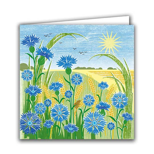 Cornflowers by Liane Payne