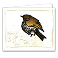 Thrush by Ian Phillips