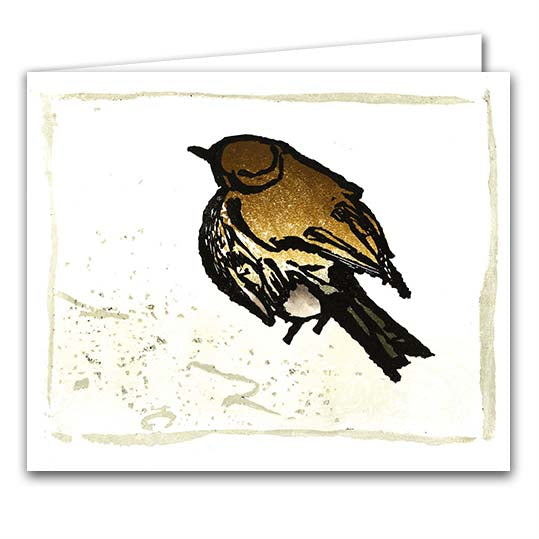 Thrush by Ian Phillips