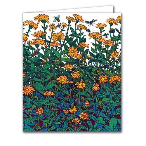 Calendula by Elina Adrshina