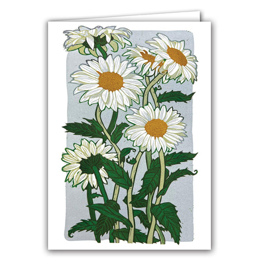 Chamomile Flowers by Elina Adrshina