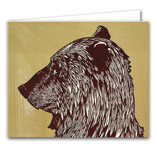 Bear by Ian Phillips