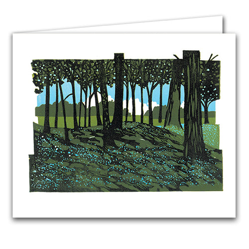 Bluebell Wood by Ian Phillips