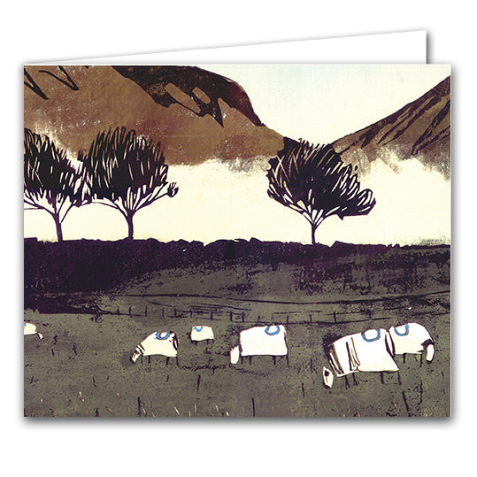 Brown Sheep by Ian Phillips