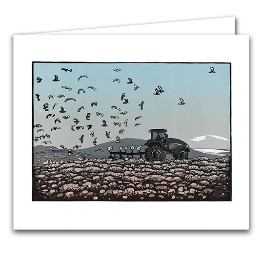 Penrhynmawr by Ian Phillips