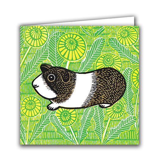 Guinea Pig by Kat Lendacka