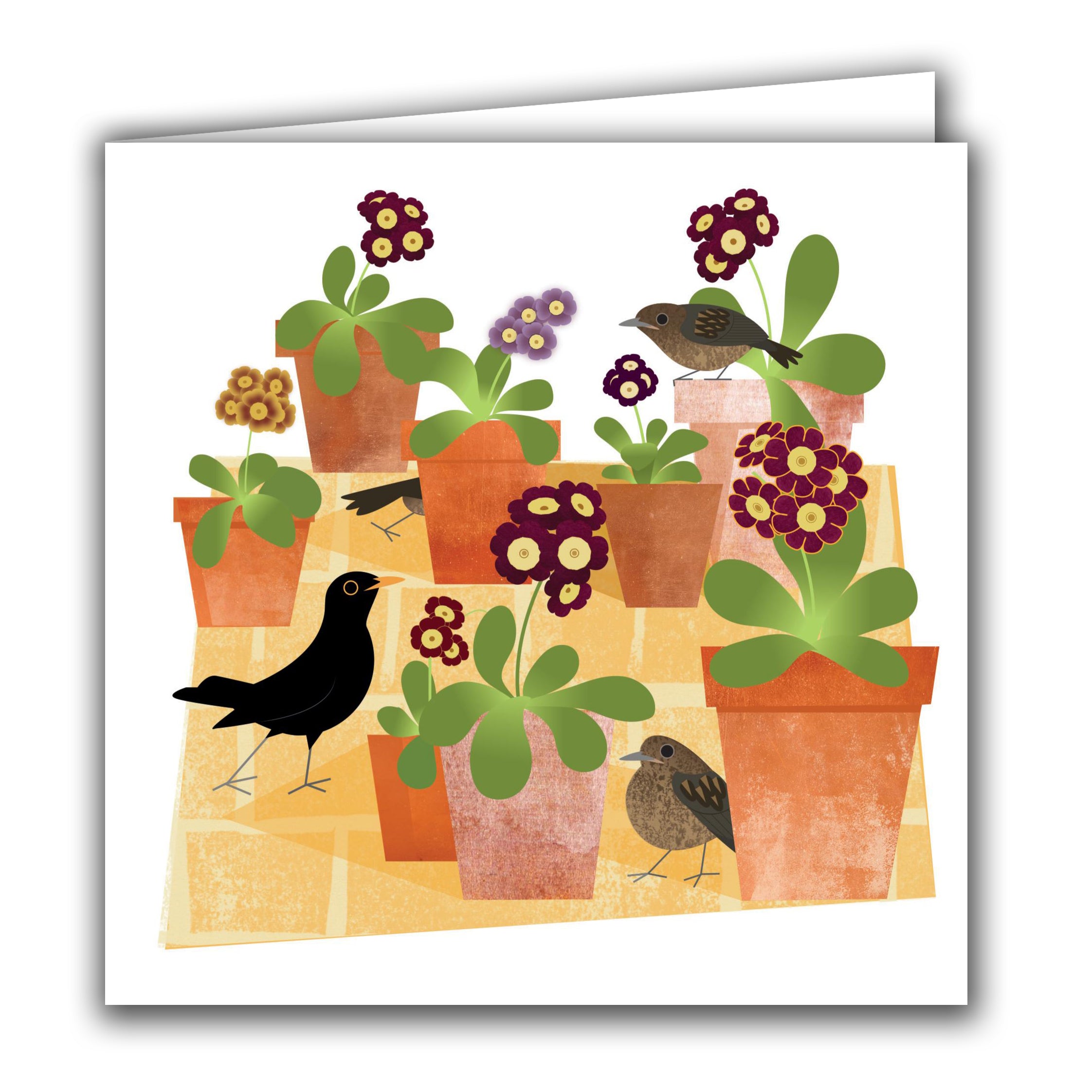 Blackbirds and Auricula by Rachel Hudson