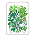 Houseplants by Sarah Abbott