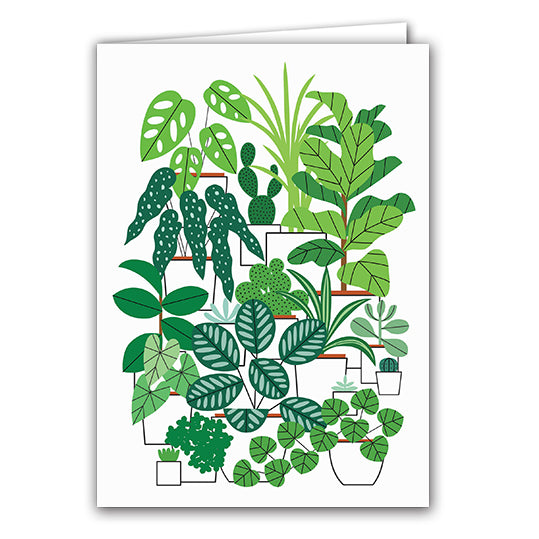 Houseplants by Sarah Abbott