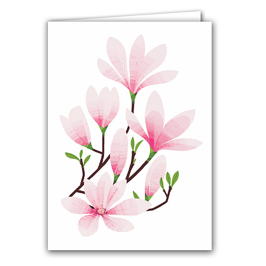 Magnolia by Sarah Abbott